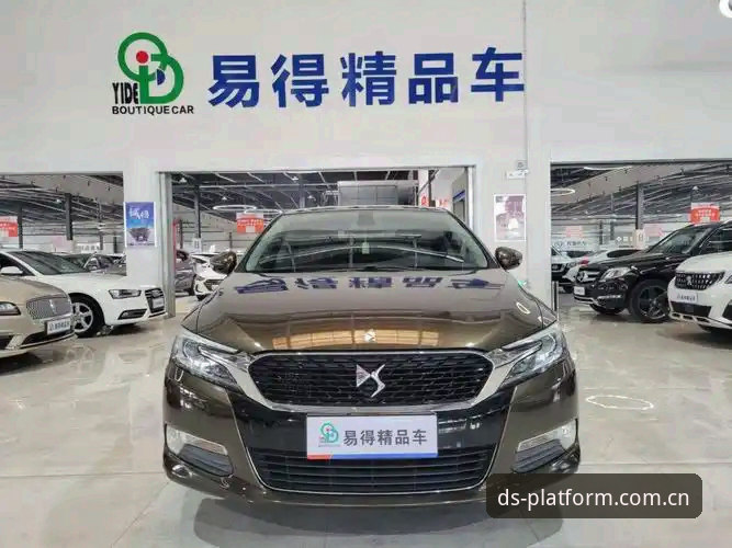 鼎盛DS v3.0.8全面评测：从用户反馈到平台安全性的深度分析